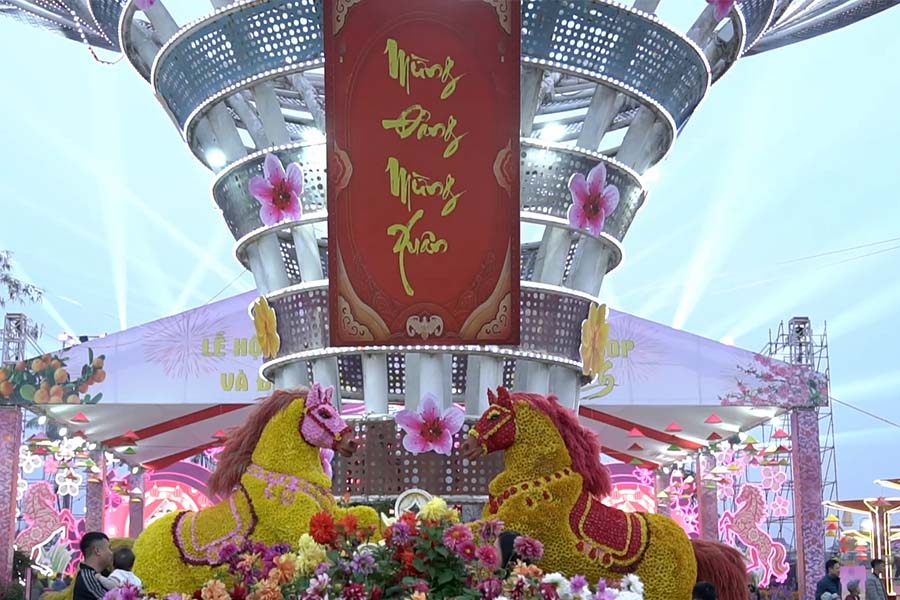 People excitedly plan for travel and spring trips during Tet