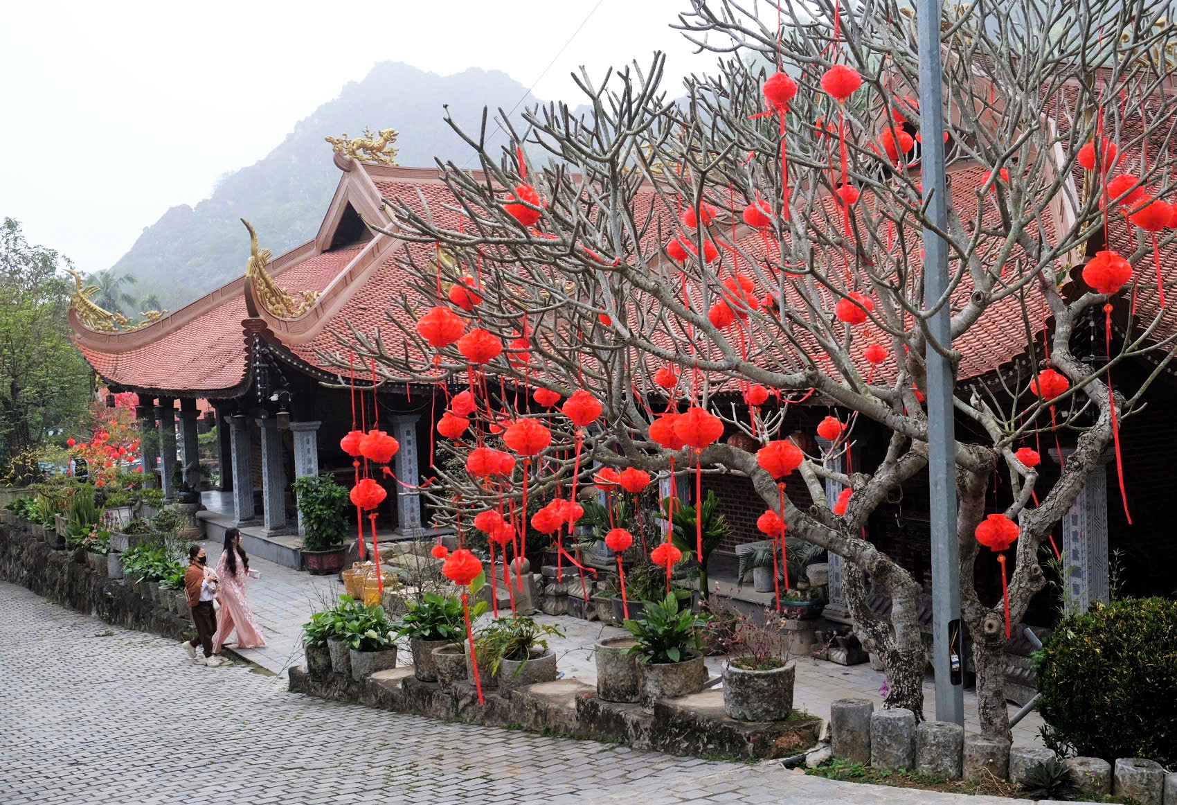 Làng cổ Đông Sơn nằm bên dòng sông Mã với cầu Hàm Rồng lịch sử bắc qua, cách trung tâm nội đô Thanh Hóa khoảng 3km, hiện là một trong những làng cổ và đẹp bậc nhất Việt Nam. Trong làng hiện còn rất nhiều di tích và danh thắng được bảo tồn như đền Đức Thánh Cả, chùa cổ Đông Sơn (ảnh), miếu Nhị, núi Rồng động Tiên, di chỉ khảo cổ học Đông Sơn...