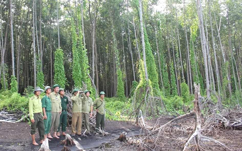 Tuần tra, kiểm soát bảo vệ phòng chống cháy rừng xuyên Tết Nguyên đán Bính Ngọ 2026. Ảnh: Văn Bạch.