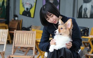 Many families in Hanoi spend millions to send pets during Tet holiday