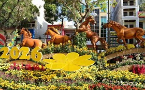 People anxiously waiting to see the horse mascot in Can Tho