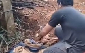 The reason a 17-year-old girl abandoned her newborn baby in a durian garden