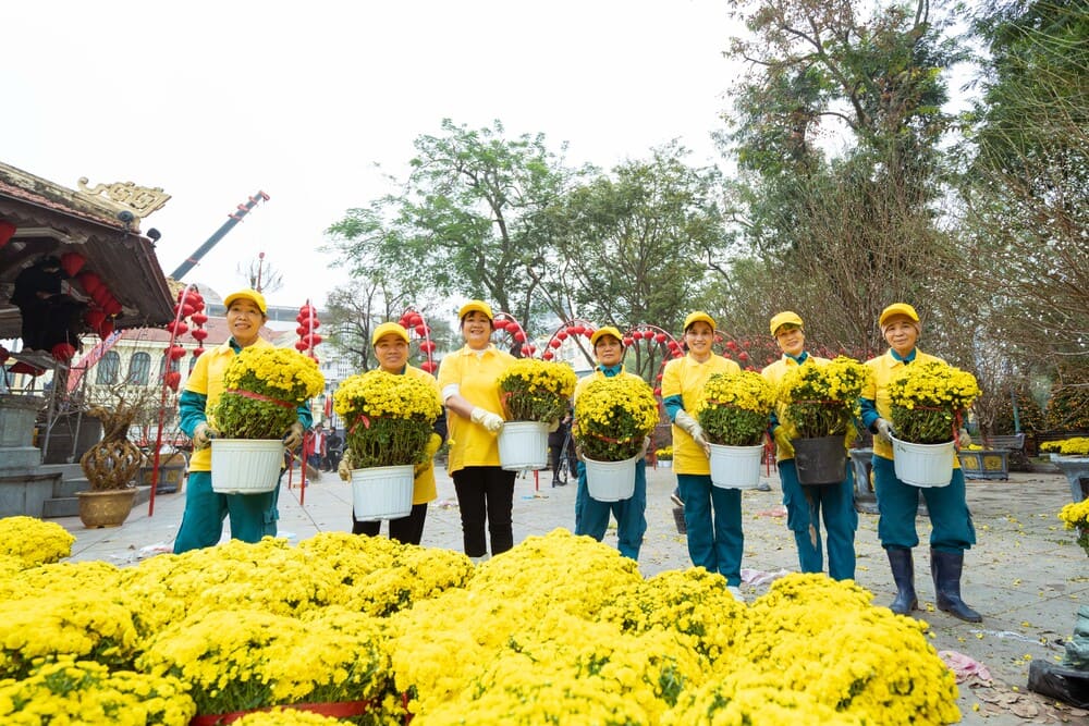 Các nhân viên Sun Group chăm chút tỉ mỉ cho từng