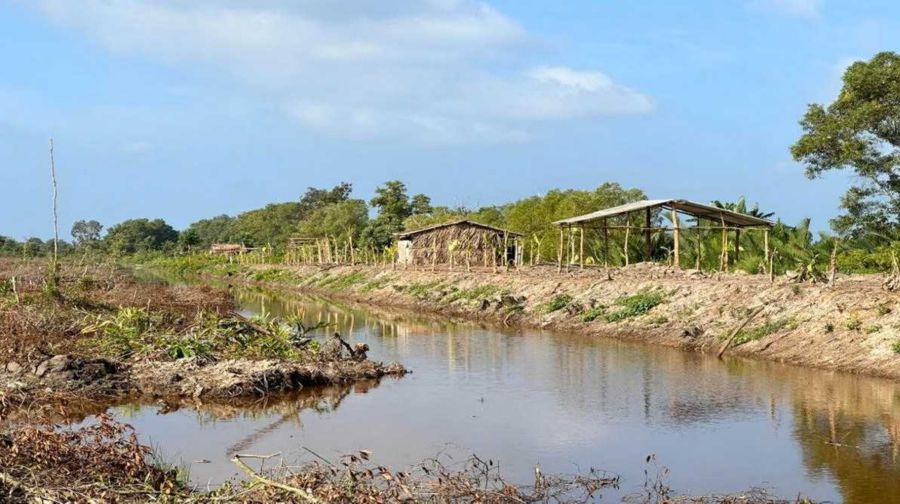 Land encroached upon by people preparing to build huts (photo taken in 2023). Photo: Nhat Ho