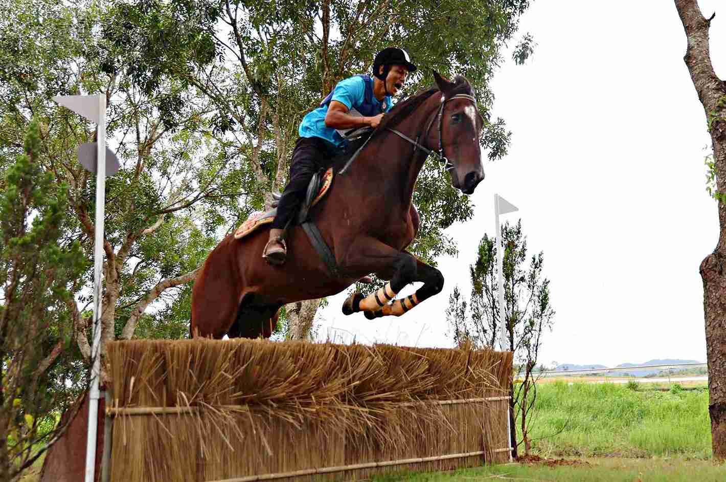 Binh Ngo Spring 2026 evokes the image of the horse - a symbol of strength, perseverance and the desire to reach far. Photo: Phuc Khanh