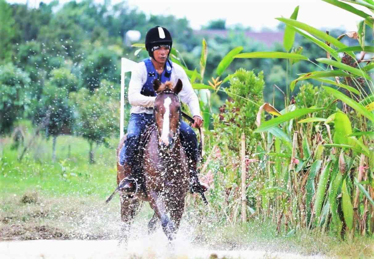 Tuấn mã tung vó vượt nước trong một cuộc đua tại trường đua Thiên Mã. Ảnh: Phúc Khánh 