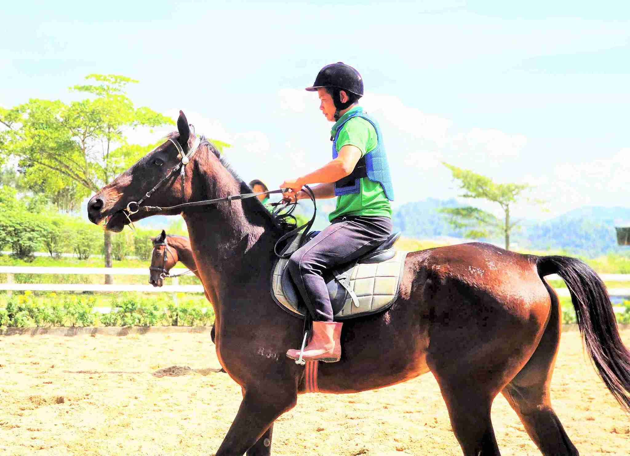 Ngựa tại trường đua Thiên Mã được các nài ngựa huấn luyện để tham gia các cuộc đua chuyên nghiệp. Ảnh: Phúc Khánh