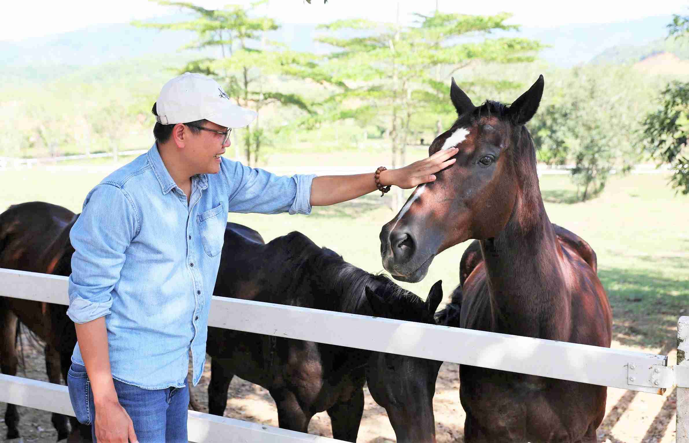 Hiện tại, trường đua Thiên Mã đang sở hữu hơn 30 con tuấn mã với những cái tên riêng biệt như Cổ Thiên Lạc, Quốc Tài, Trương Minh, Ngọc Thành... Ảnh: Khánh Phúc 