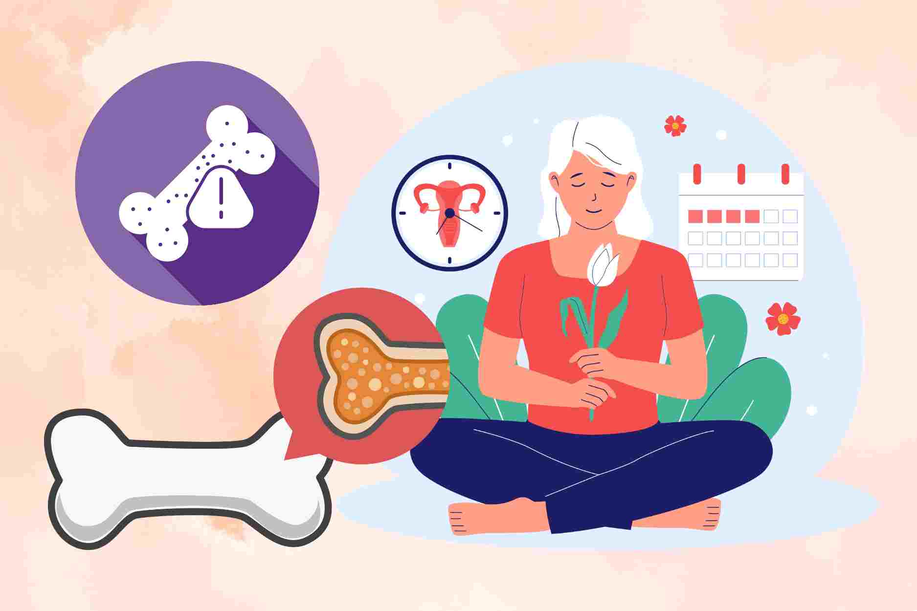 Why menopausal women develop osteoporosis quickly