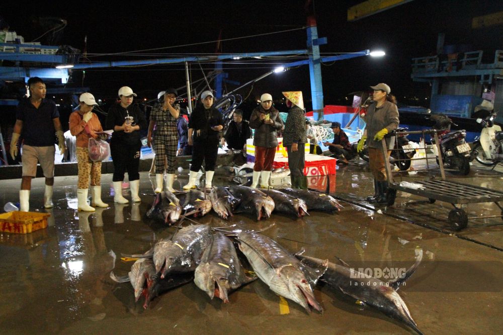 Cảng cá Thọ Quang (phường Sơn Trà, TP Đà Nẵng) nhộn nhịp những ngày cận Tết. Ảnh: Thanh Huyền