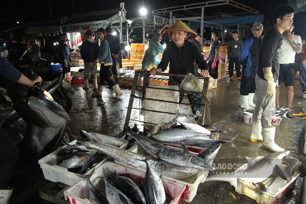 Không khí mua bán nhộn nhịp kéo dài xuyên đêm tại cảng cá Thọ Quang. Ảnh: Thanh Huyền