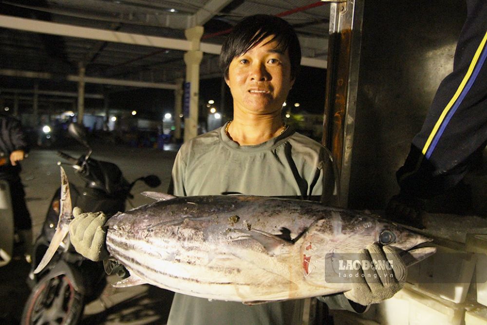 Cá ngừ được giá, có con 10kg giá 1 triệu đồng. Ảnh: Thanh Huyền