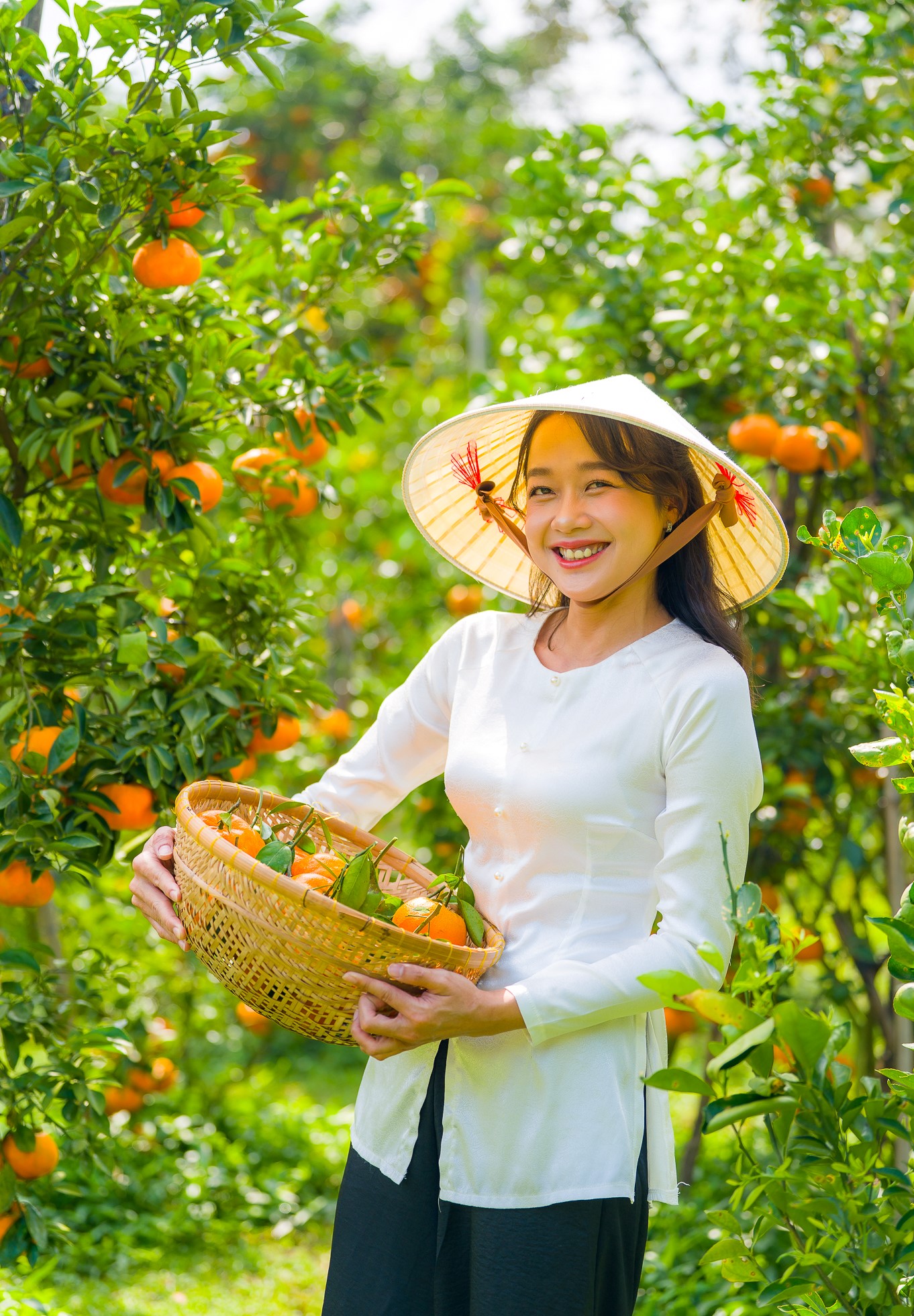 Quýt chín rộ nhưng cận Tết Nguyên đán mới thu hoạch để bán cho thương lái nên từ đầu tháng 1 Dương lịch tới nay chủ yếu vườn thu hút khách du lịch tới thăm và chụp ảnh.