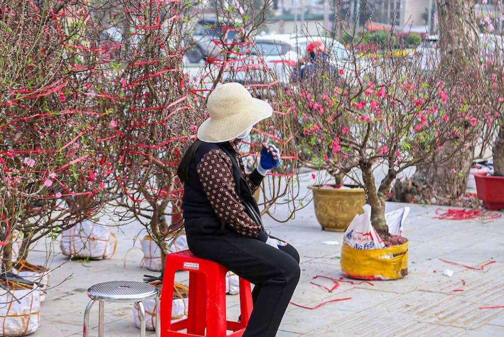 Theo các tiểu thương, kinh tế khó khăn khiến người dân thắt chặt chi tiêu, tâm lý chờ sát Tết để mua giá “mềm” hơn khiến thị trường đào, quất ở Nghệ An vẫn khá trầm lắng. Trước áp lực hàng tồn, nhiều người buộc phải hạ giá từng ngày nhưng sức mua vẫn chưa cải thiện.