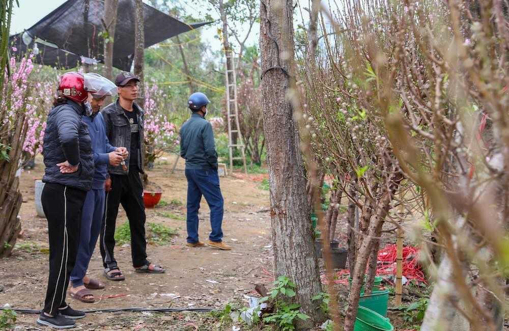 Dù lượng hoa, cây cảnh khá phong phú, nhưng không khí mua bán lại trầm lắng. Tại nhiều điểm, người dân chủ yếu dừng lại chụp ảnh, ngắm nghía rồi rời đi, rất ít trường hợp xuống tiền mua. 