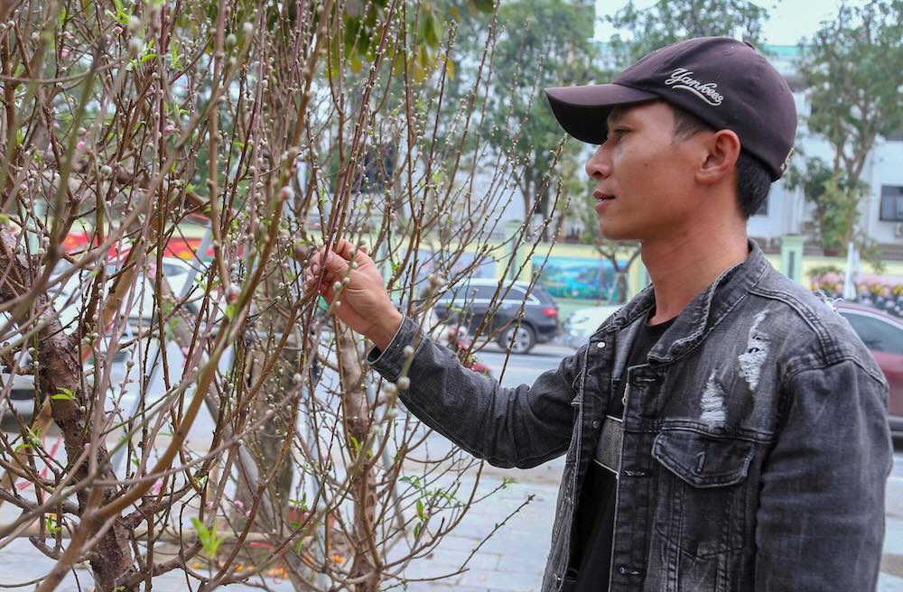 Ngồi bên xe tải chở đào tại vòng xuyến Hải Quan, anh Đức Anh (trú tỉnh Bắc Ninh) không giấu được vẻ sốt ruột. “Càng sát Tết càng lo. Đào mà không bán được trước giao thừa thì coi như bỏ”, anh than thở. 