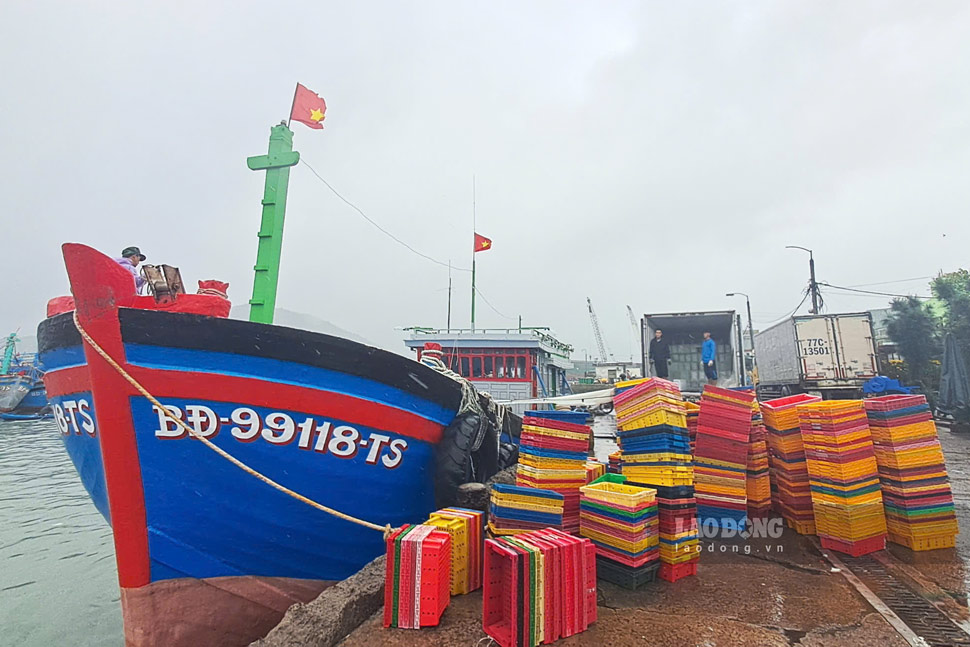 Tàu BĐ99118TS tất bật đưa đá, nhu yếu phẩm lên tàu để kịp chuyến “tiếp tế” cho tàu đang đánh bắt ngoài khơi. Ảnh: Hoài Phương