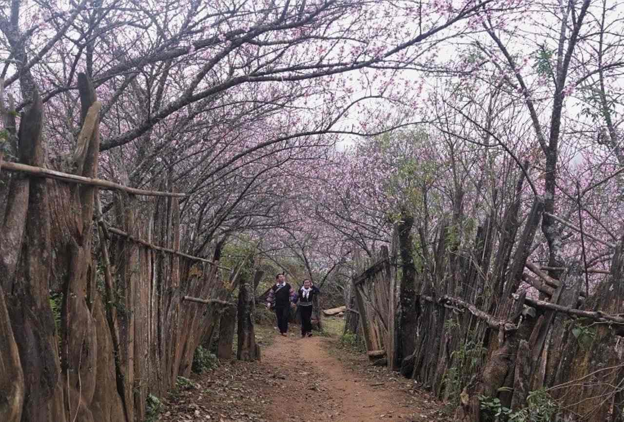 Having phone signal helps the life of poor villagers in Lung Cung become more fresh. Photo: Van Duc.