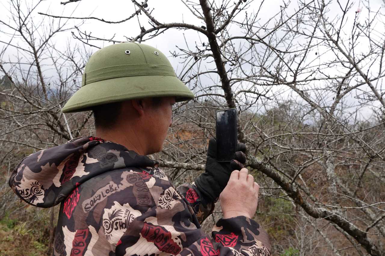 Việc kinh doanh dễ dàng hơn khi có sóng điện thoại. Ảnh: Văn Đức