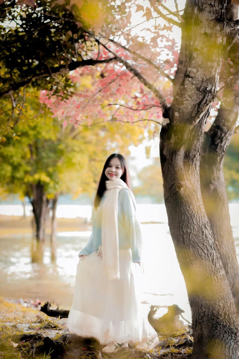 Thiếu nữ chụp ảnh với rừng phong hương mùa thay lá. Ảnh: Trường Sinh