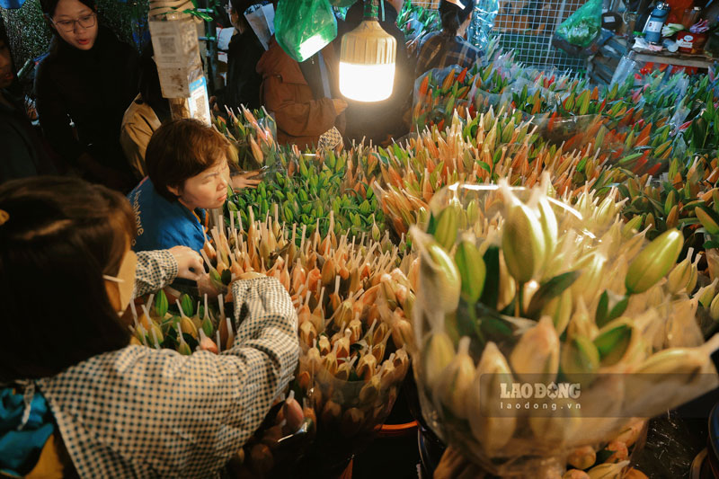 mùa tết năm nay hoa ly