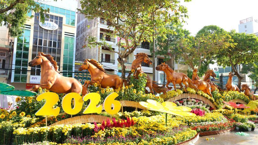 A corner of the Art Flower Street in Can Tho City. Photo: Trung Pham