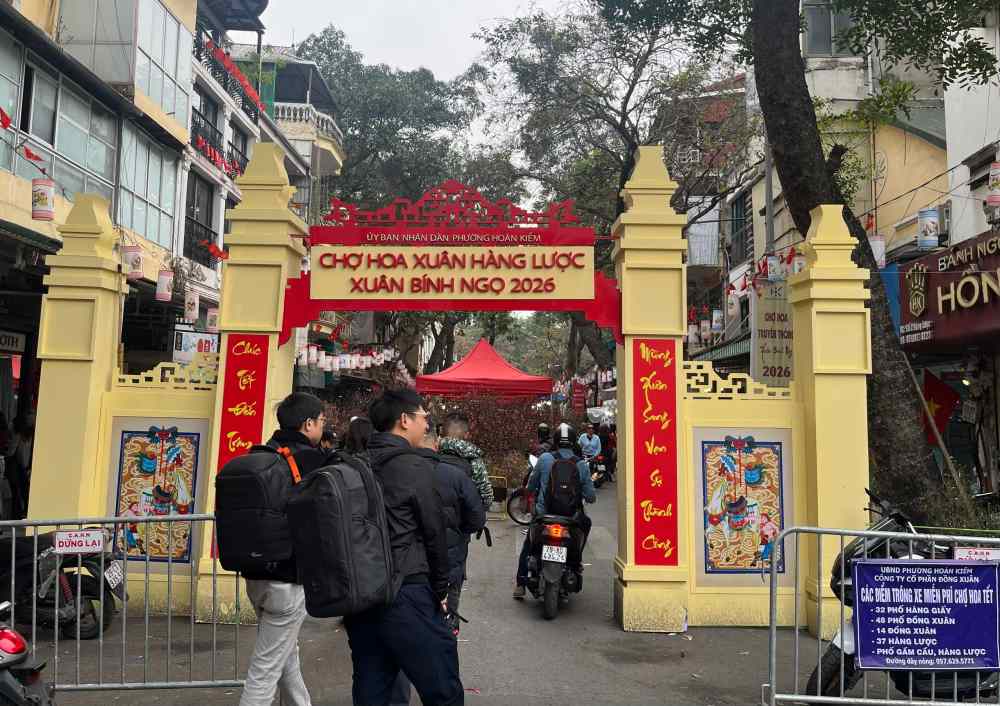 Từ khoảng 23 tháng Chạp, phố Hàng Lược và các tuyến lân cận như Hàng Chai, Hàng Rươi, Hàng Mã… lại đông đúc người qua lại. Những chuyến xe chở đào Nhật Tân, quất Quảng Bá, Nghi Tàm nối nhau đổ về. Xen giữa là thược dược, lay ơn, cúc, hải đường và nhiều loại hoa đặc trưng ngày Tết, tạo nên bức tranh xuân nhiều tầng sắc độ.