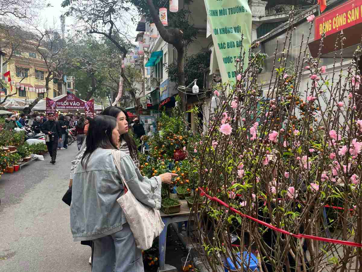 Dù hiện nay hoa Tết được bày bán khắp nơi, thậm chí có thể đặt mua tận nhà, nhiều người Hà Nội vẫn giữ thói quen đến chợ hoa Hàng Lược. Không ít người tìm đến đây không hẳn để mua sắm nhiều, mà để cảm nhận không khí Tết đang về.