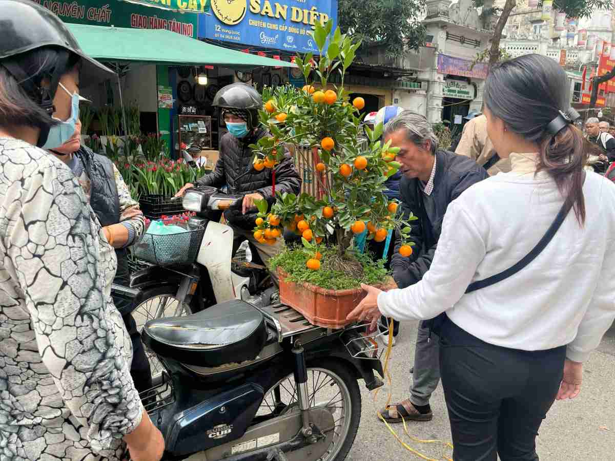Trong khi đó, anh Hoàng (Cầu Giấy) lại đưa con trai nhỏ đến chợ từ sớm. Với anh, đây là dịp để con cảm nhận Tết theo cách truyền thống. “Tôi muốn con được tận mắt thấy cảnh người bán, người mua mặc cả, được chạm vào cành đào, ngửi mùi hoa tươi. Những điều đó tạo nên ký ức, giống như tôi từng có khi theo bố mẹ đi chợ hoa ngày trước”, anh chia sẻ.