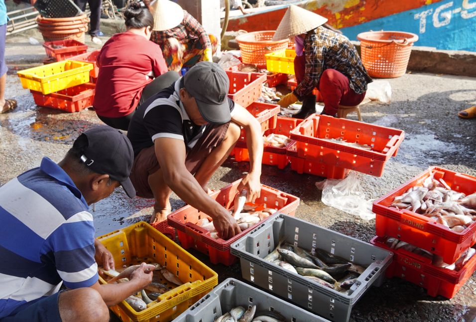 Lao động nghề biển tất bật giữa không khí nhộn nhịp cuối năm. Ảnh: Phương Anh