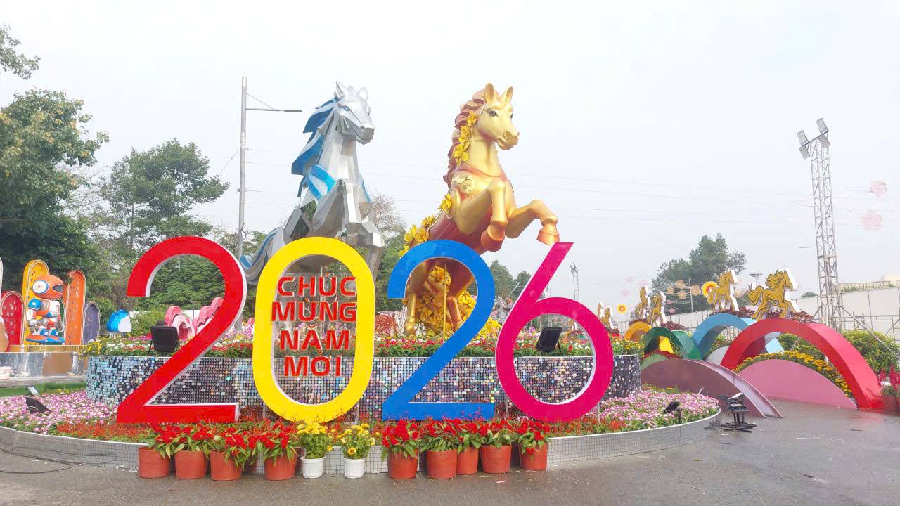 Spring flower street in Binh Duong ward. Photo: Dinh Trong