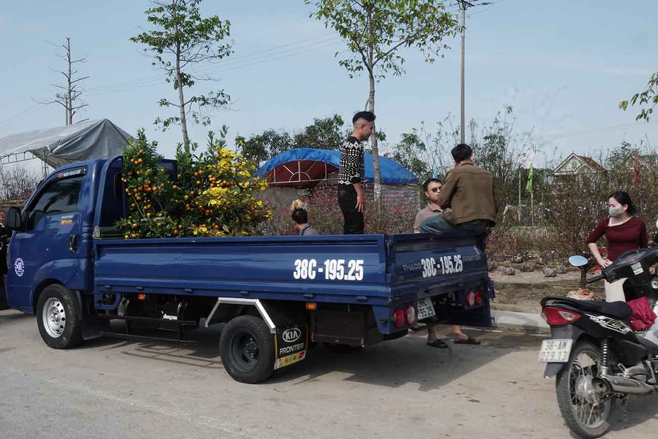 Dùng xe tải nhỏ chở nhiều hoa cảnh về chưng Tết. Ảnh: Trần Tuấn.