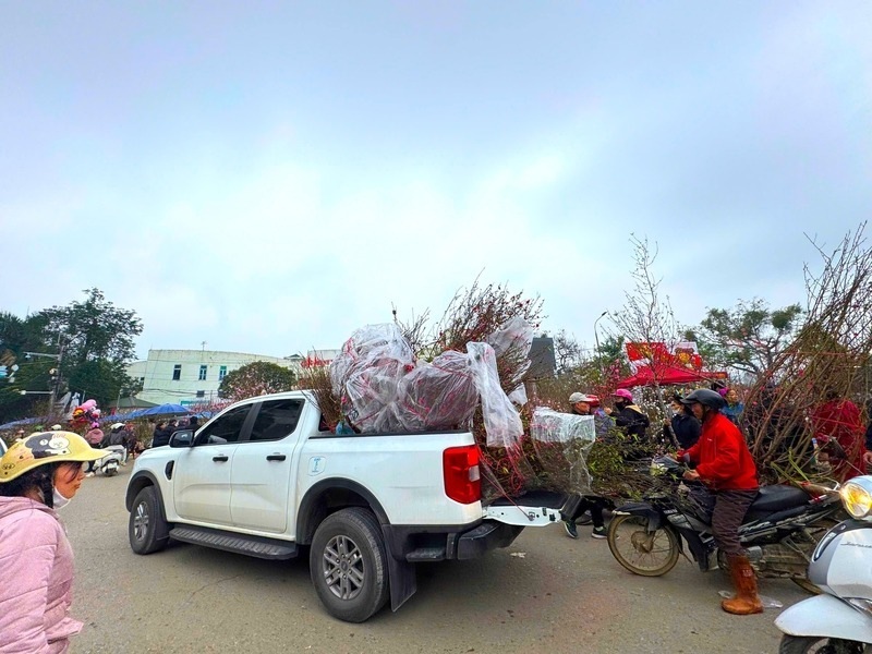 Những chuyến xe chở mùa xuân về nhà. Ảnh: Khánh Linh