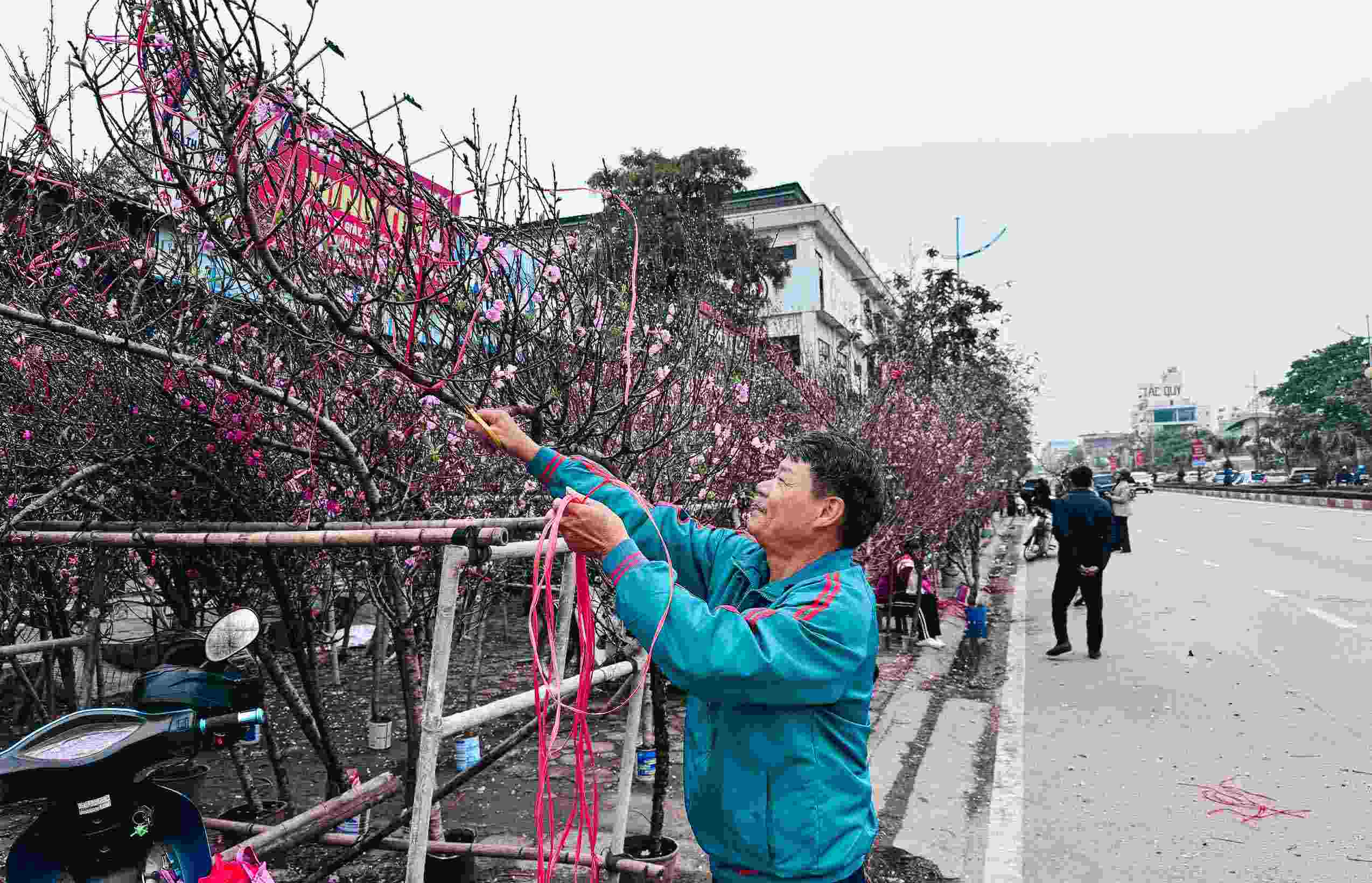 Nhộn nhịp chợ đào, quất. Ảnh: Anh Dũng