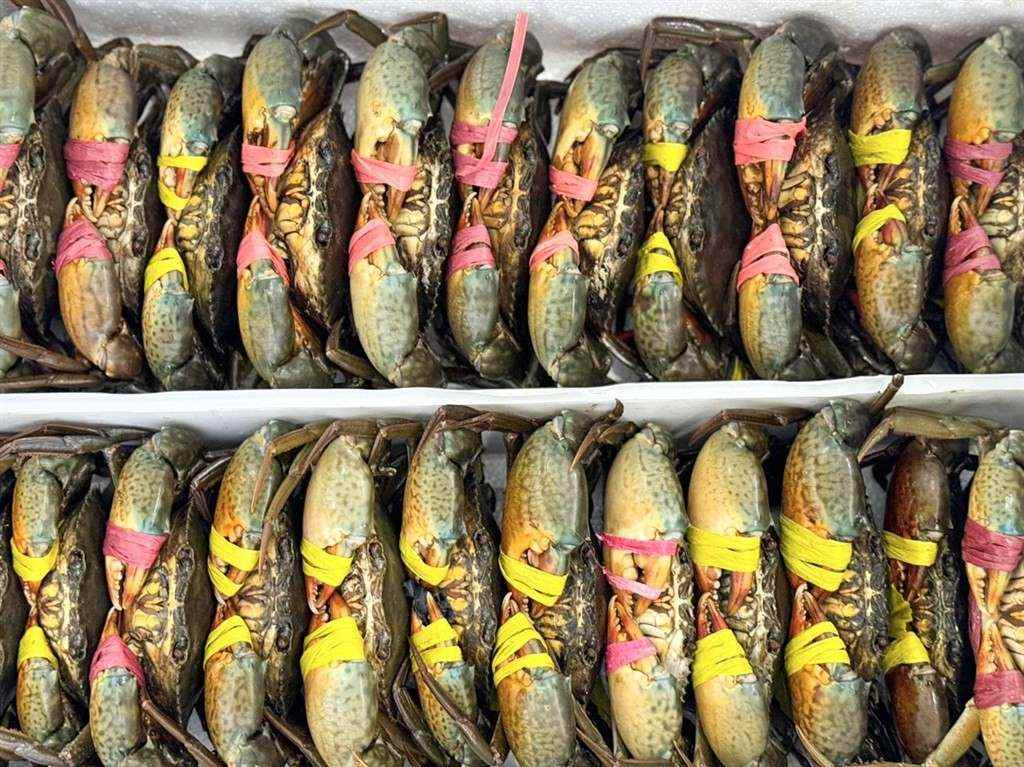 Ca Mau crab is preparing to be loaded onto a car to deliver to customers. Photo: Nhat Ho.