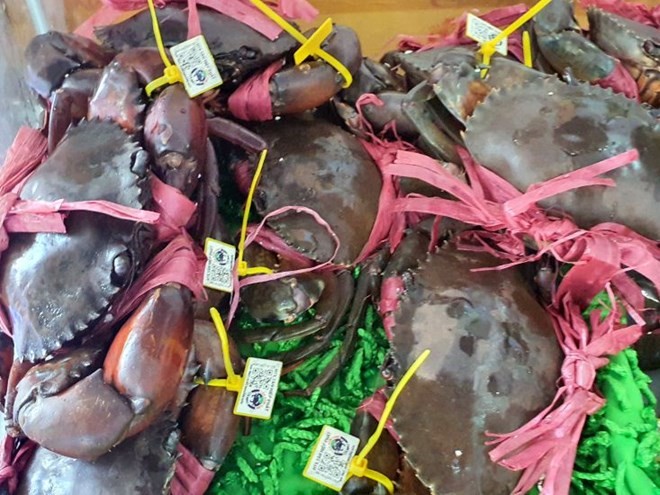 Cua Cà Mau loại cua gạch son có giá trên 1 triệu đồng/kg những ngày cận Tết. Ảnh: Nhật Hồ.