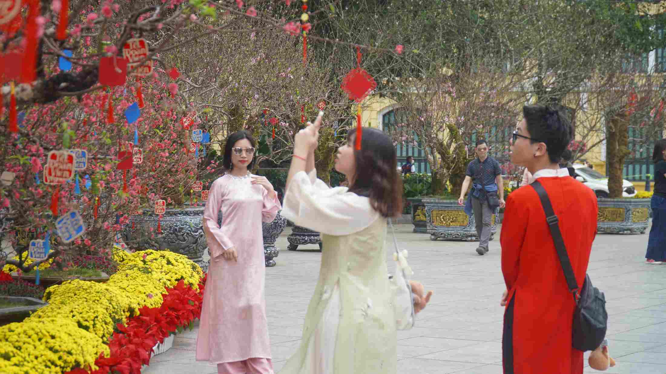 Các gia đình quây quần bên gốc đào cổ, lưu giữ khoảnh khắc sum vầy đầu năm. Ảnh: Minh Vũ