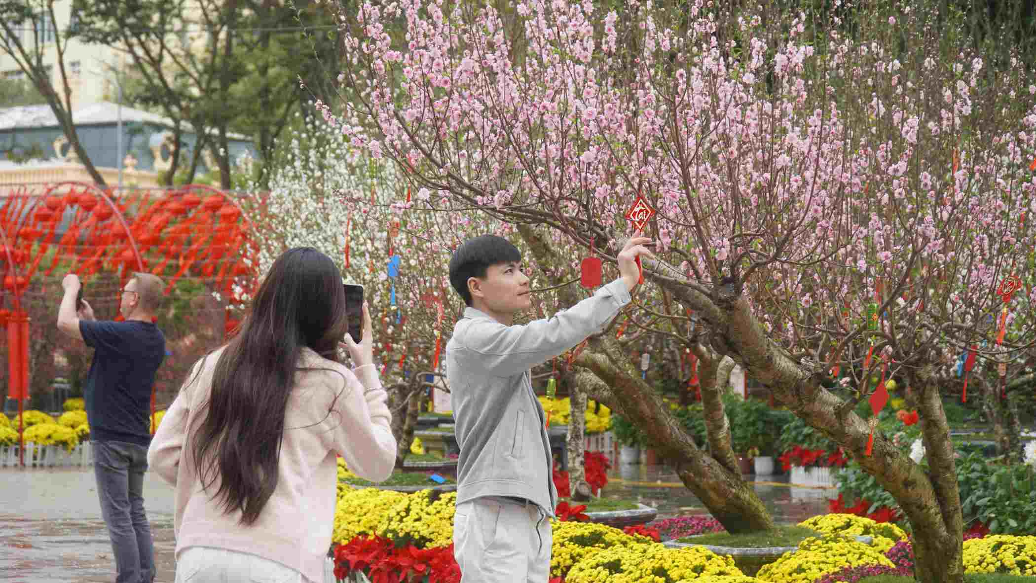 Du xuân dưới tán đào nở rộ, lưu lại những khoảnh khắc rực rỡ nhất của năm mới. Ảnh: Minh Vũ 