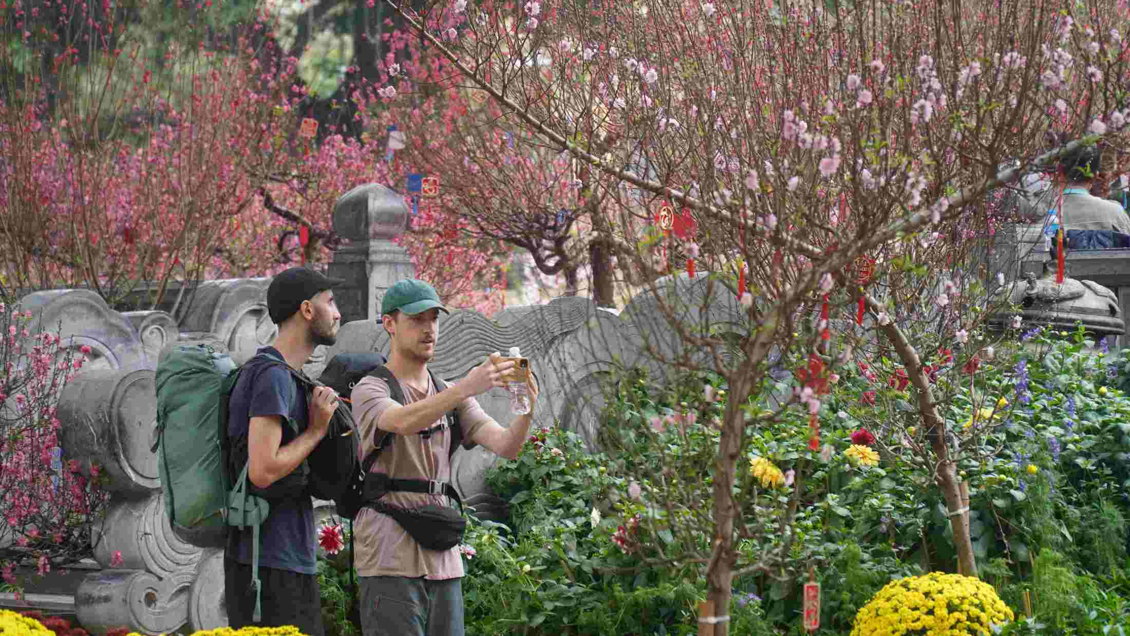 Dạo bước giữa rừng đào khoe sắc, du khách Tây say sưa chụp ảnh, ngắm hoa. Ảnh: Minh Vũ