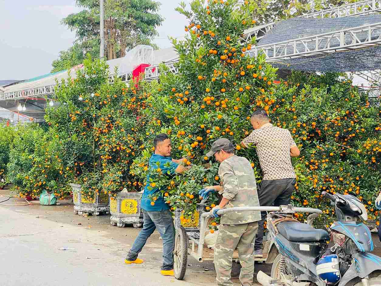 Người mua dễ dàng di chuyển, không xảy ra tình trạng ùn tắc tại chợ hoa Xuân Phố Hiến.