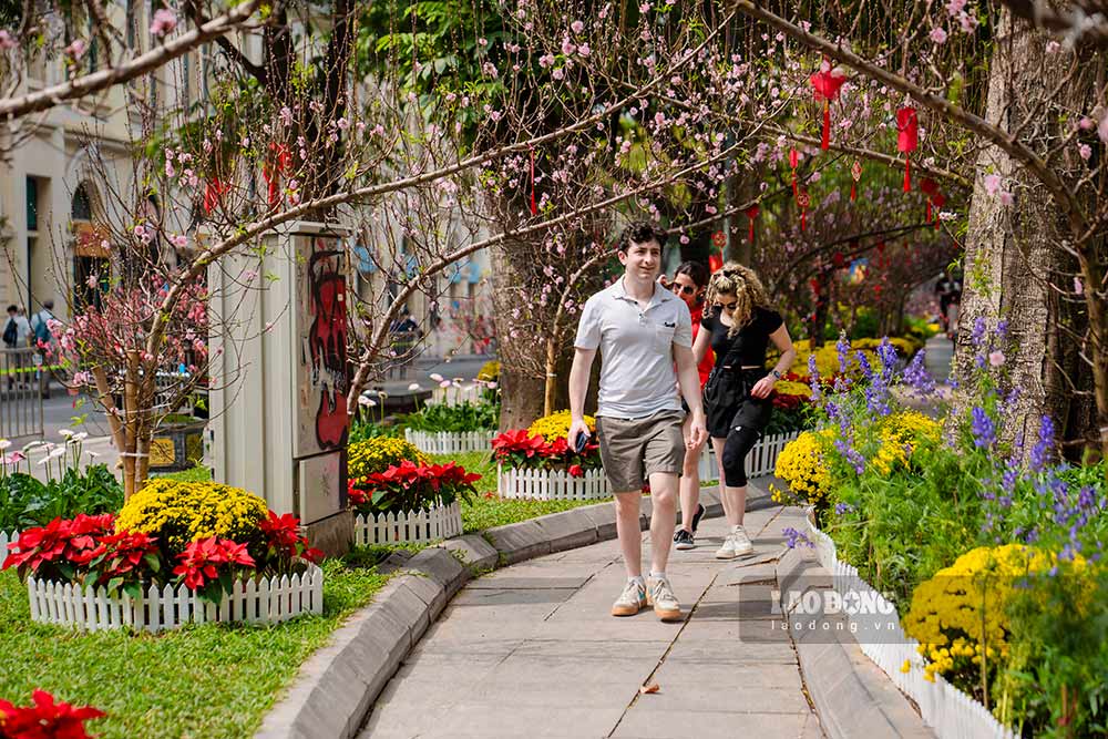 Khách quốc tế dạo giữa không gian hoa xuân bên bờ hồ Gươm ngày giáp Tết. Ảnh: Ý Yên
