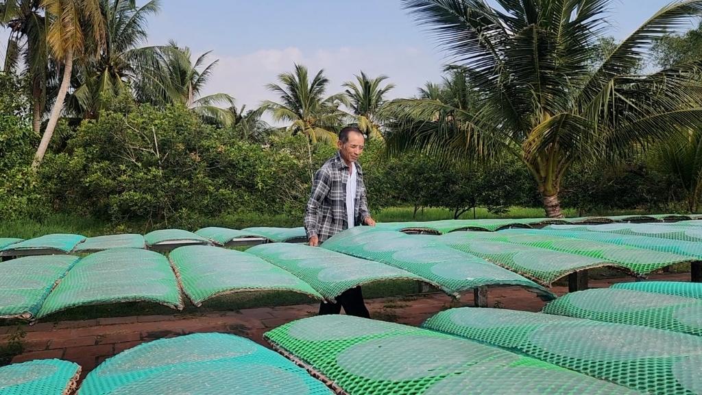 Sân phơi kín bánh trong những ngày nắng cuối năm. Ảnh: Hoàng Lộc