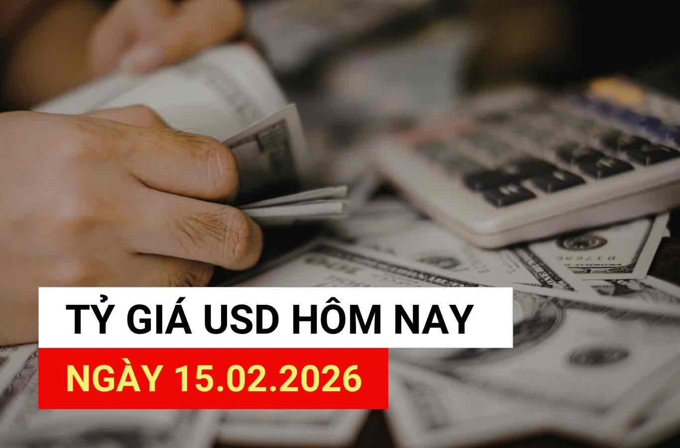 USD exchange rate today 15.2. 2026.