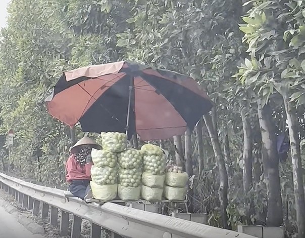 Người dân bán ổi trên cao tốc Hà Nội - Hải Phòng được người dân phản ánh. Ảnh: Công dân phản ánh