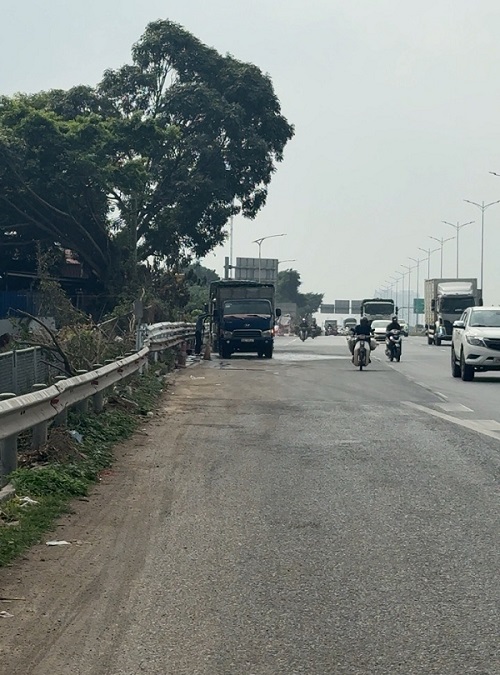 tắm lợn trên cao tốc. Ảnh: Công dân phản ánh