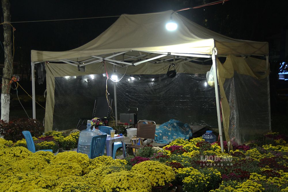 Tiểu thương dựng lều bạt ngủ lại tại điểm bán hoa trên đường Ông Ích Khiêm (TP Đà Nẵng) để trông coi hàng hóa. Ảnh: Thanh Huyền