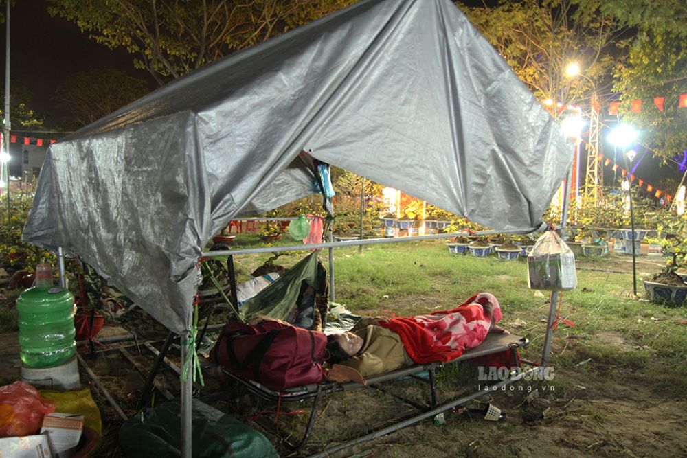 Với các tiểu thương bán hoa, những đêm dài thức trắng canh hoa Tết dần trở nên quen thuộc. Ảnh: Thanh Huyền