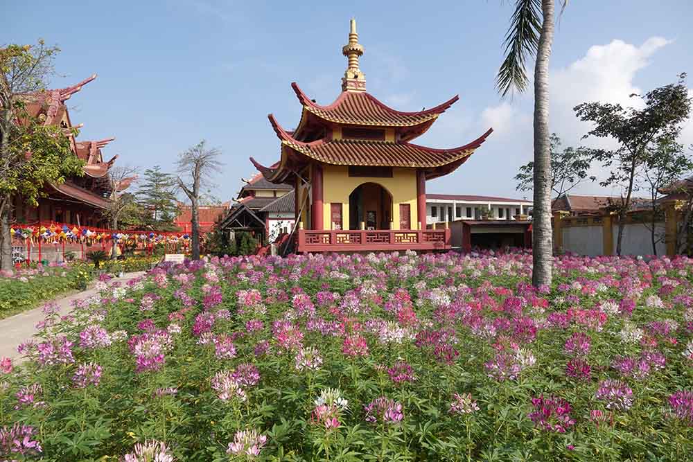 Khu vực chùa được trồng nhiều loài hoa rất đẹp. Ảnh: Trần Tuấn.