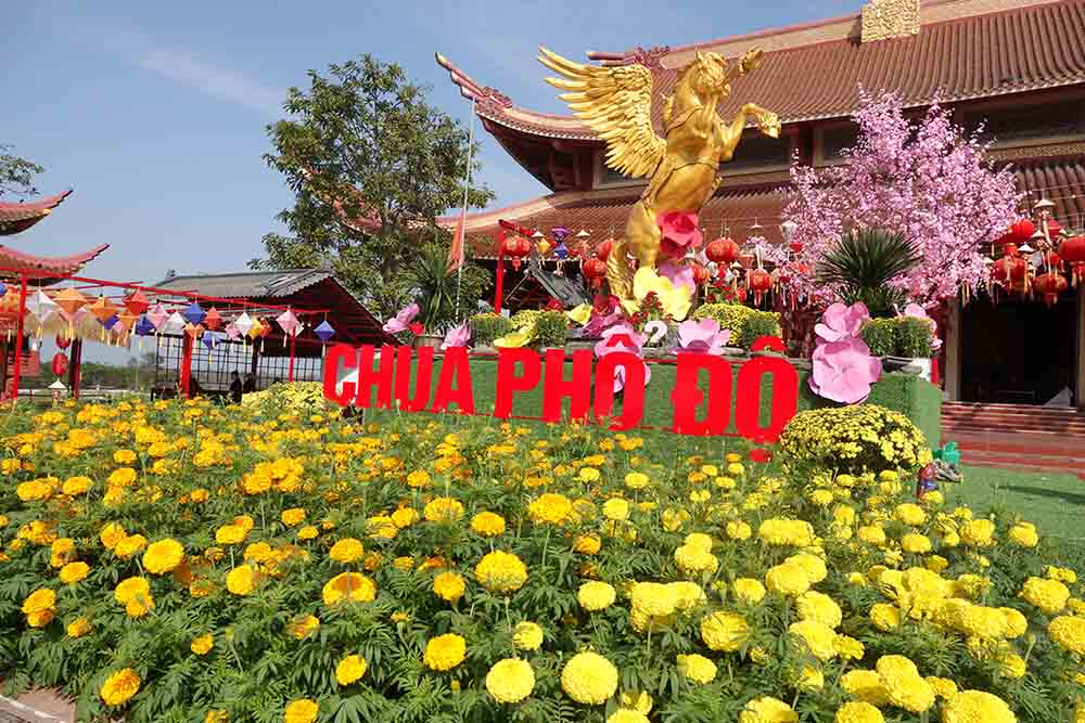 Cùng với trang trí linh vật ngựa, nhiều hoa cúc bung nở khỏe sắc rất đẹp mắt. Ảnh: Trần Tuấn.