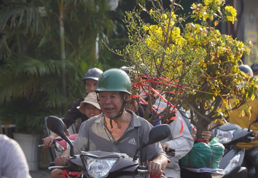 Người dân nhộn nhịp chở các chậu hoa kiểng về nhà chưng Tết.